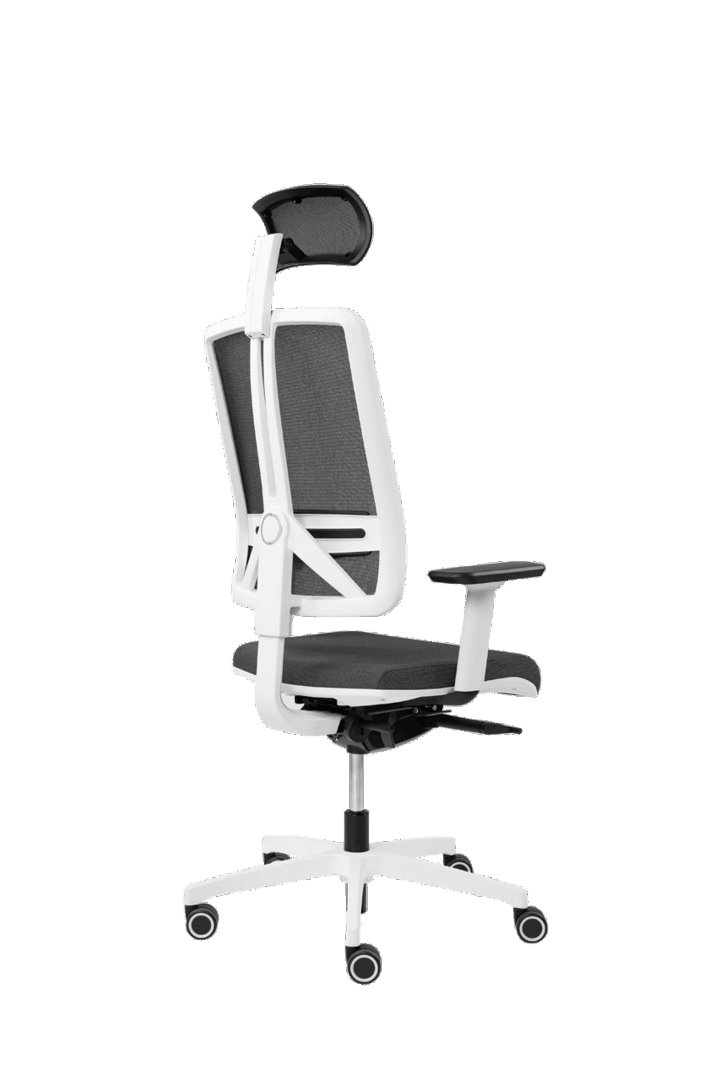 Lumbar support adjustment